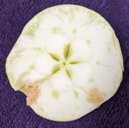 Mild watercore in apple fruit